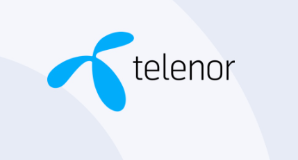 company logo